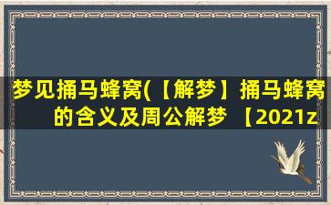 梦见捅马蜂窝(【解梦】捅马蜂窝的含义及周公解梦 【2021zui新版】)